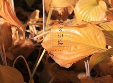 網(wǎng)站中英文切換怎么做？