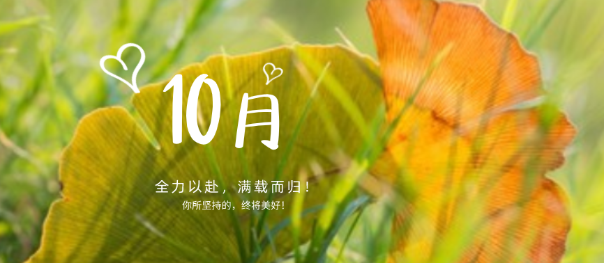 蓄力下半場|“十不我待，吾力全開”！網(wǎng)站設計、網(wǎng)站優(yōu)化都快做起來！